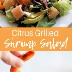 picture collage of grilled shrimp in a salad with grapefruit, mandarin oranges, goat cheese, etc