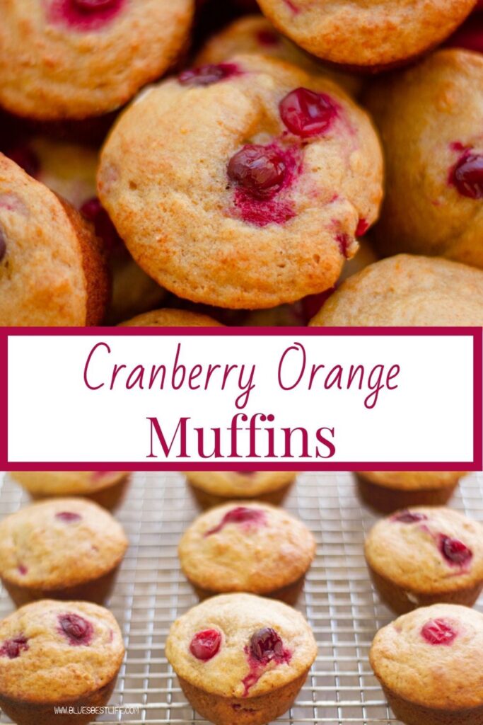 Pin graphic of cranberry orange muffins 