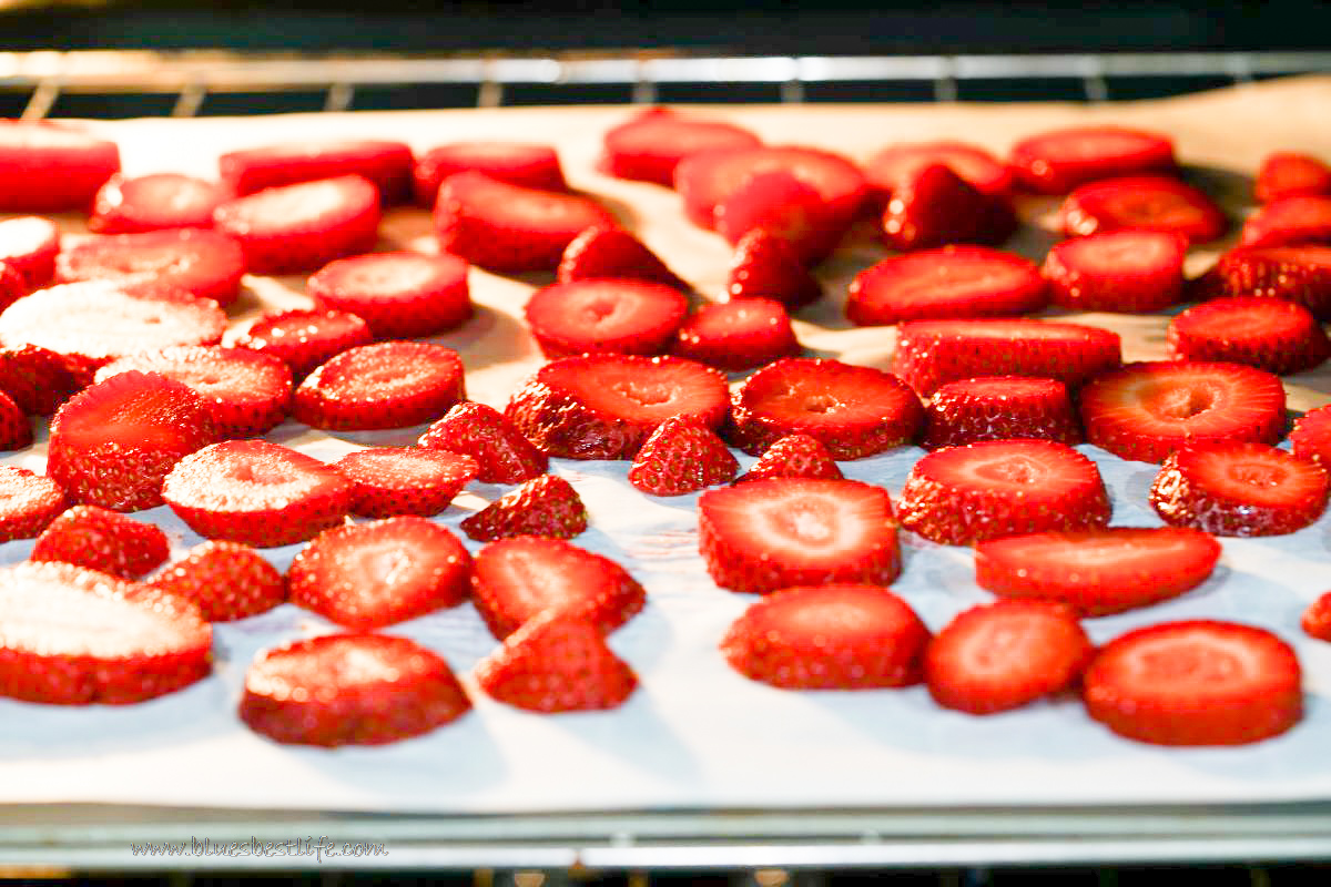 strawberry slices in the oven