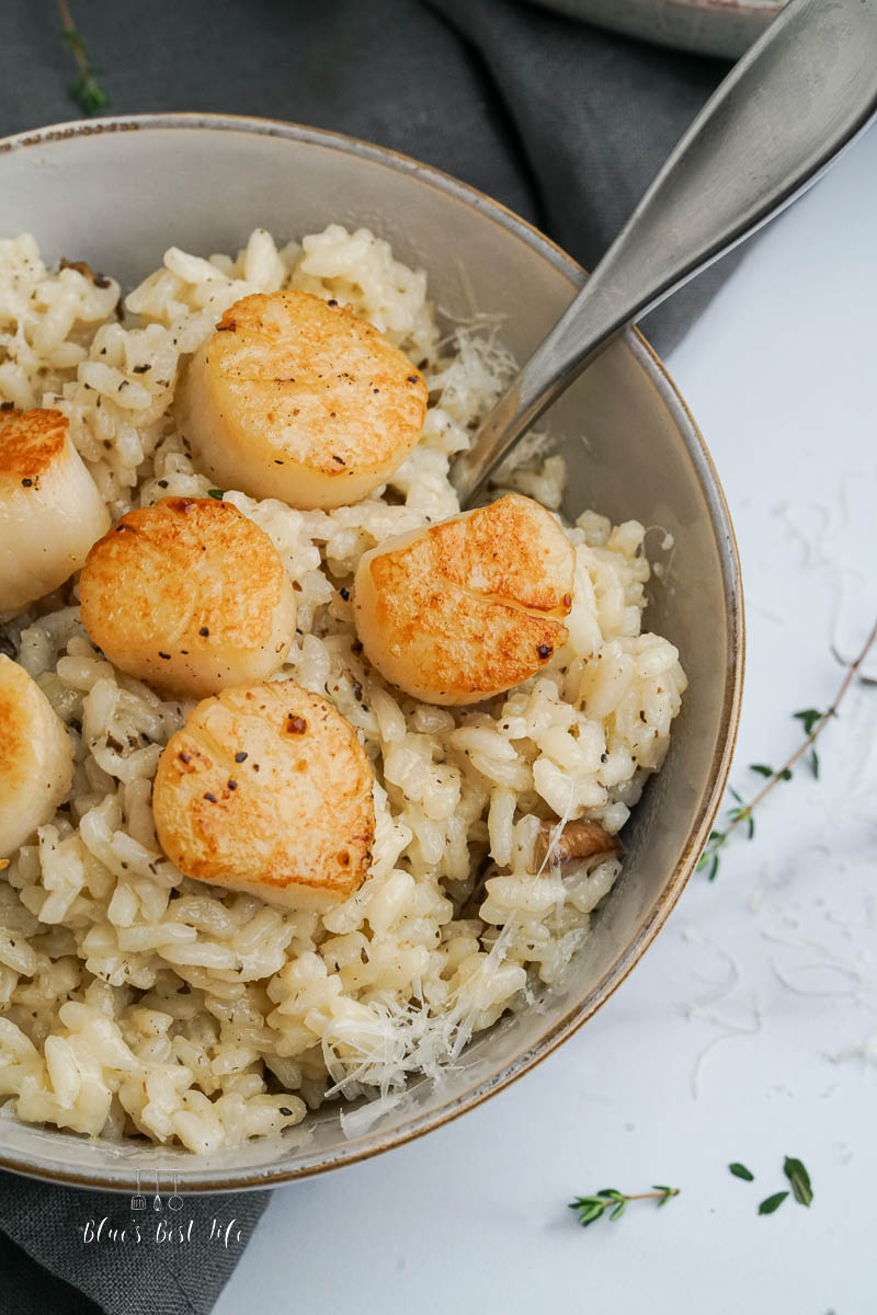 A bowl with risotto and scallops.
