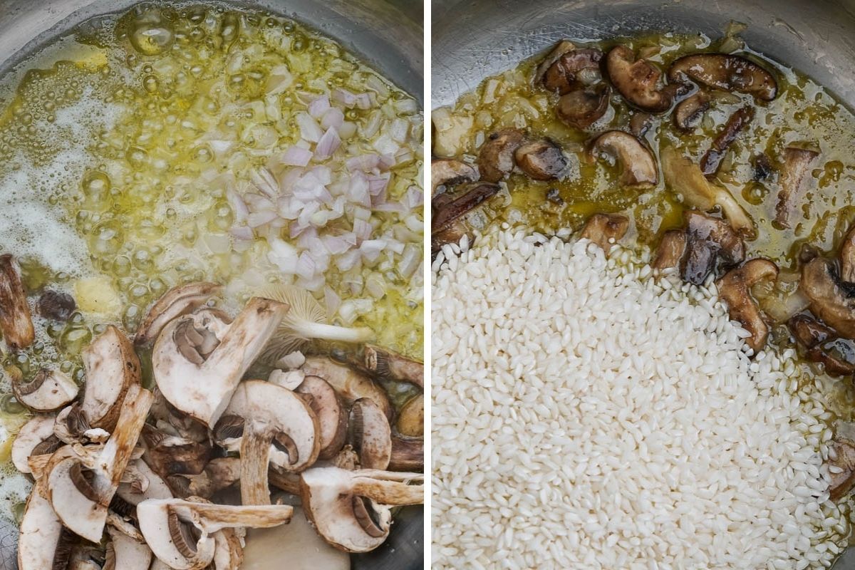 sauteing the shallot and mushroom and adding the rice.