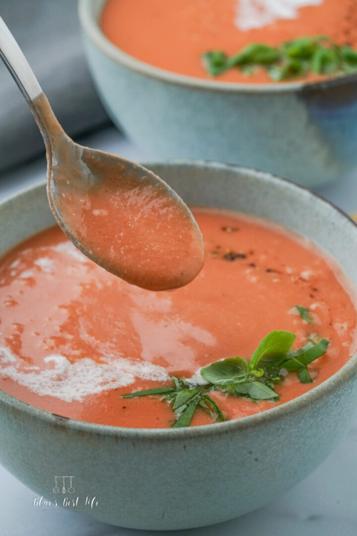 A spoonful of tomato basil soup.  