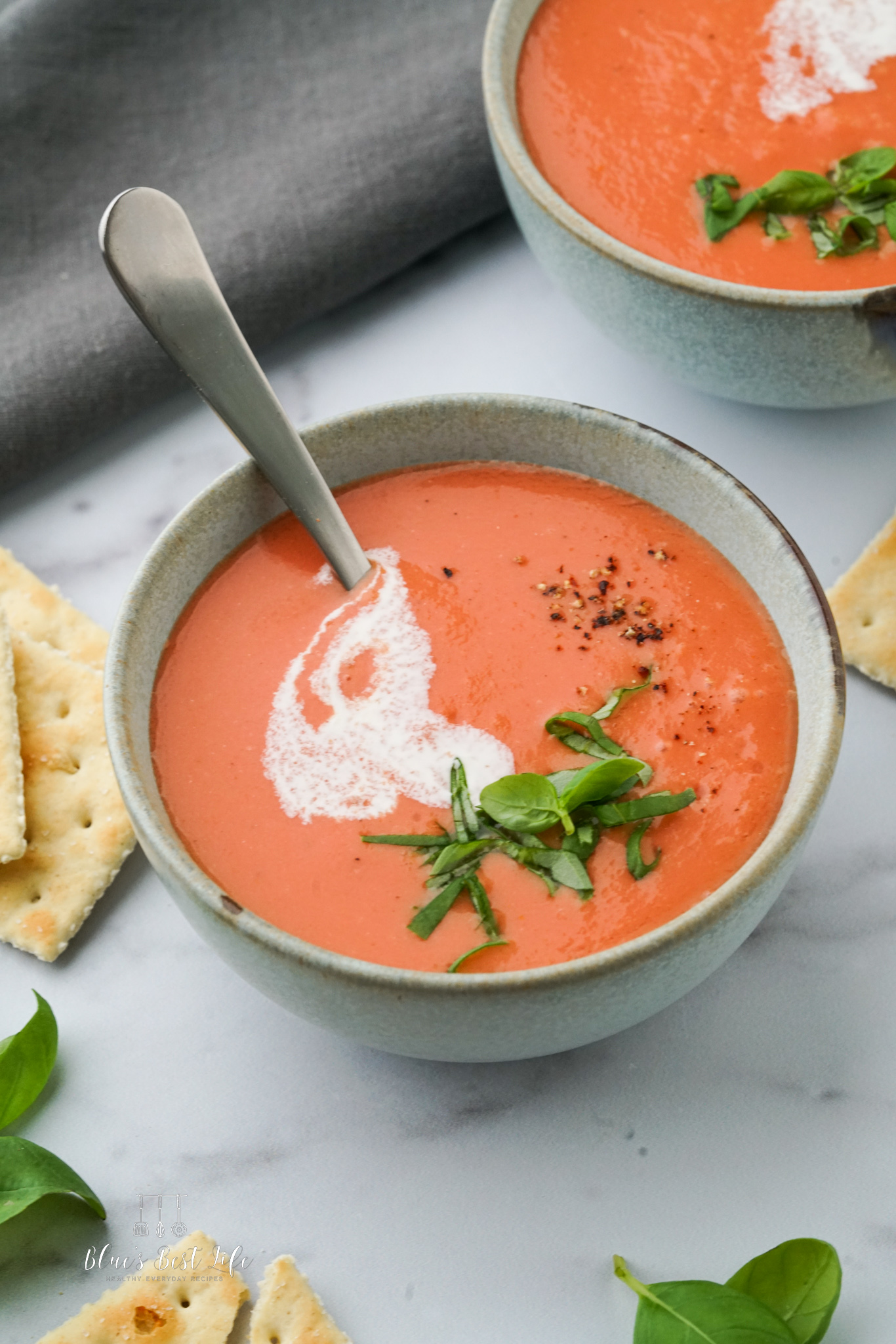 Easy Vitamix Tomato Basil Soup (Ready in 10 Minutes!) Blues Best Life