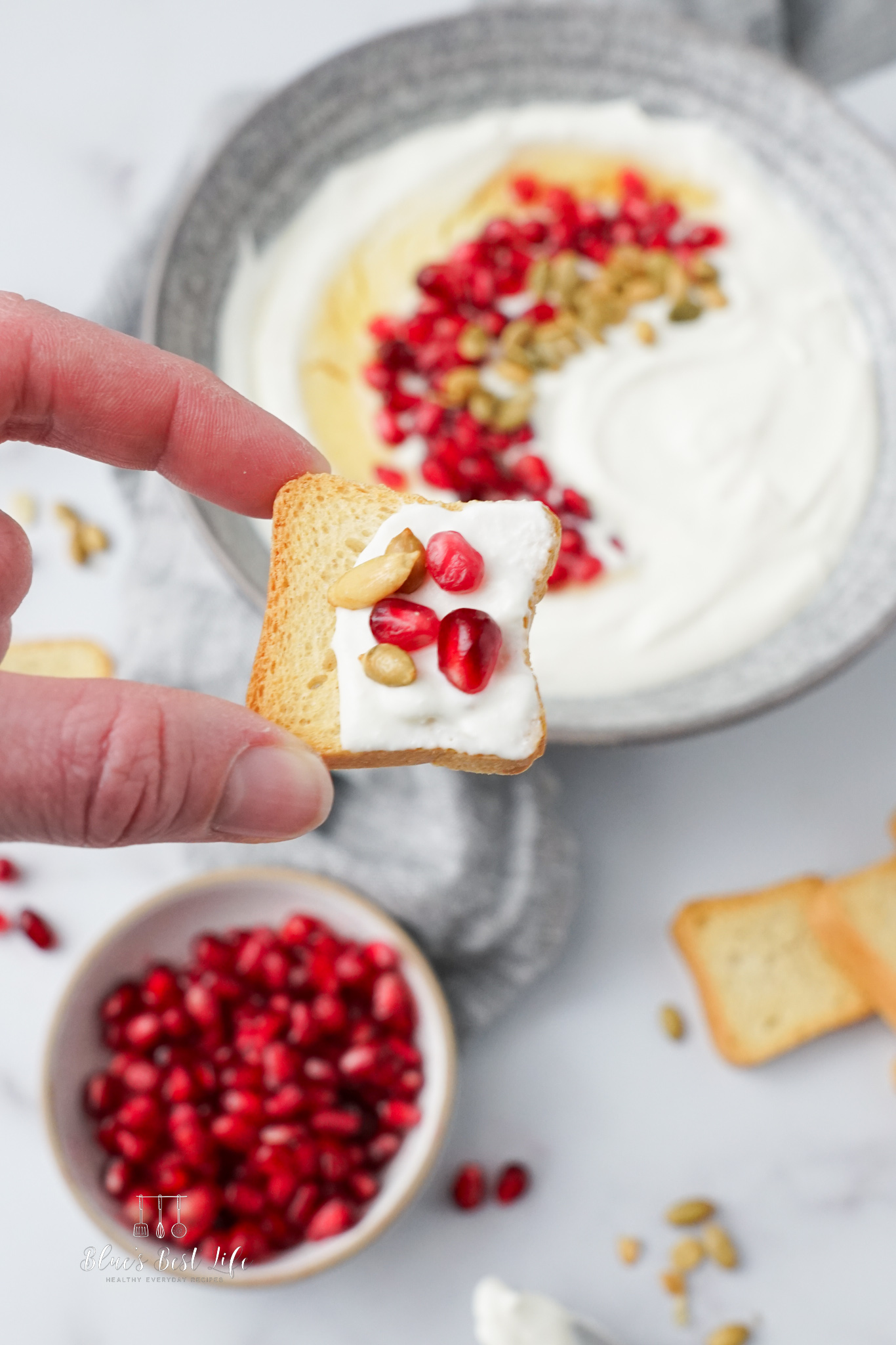 Whipped ricotta on a crostini with pomegranate and pepitas. 