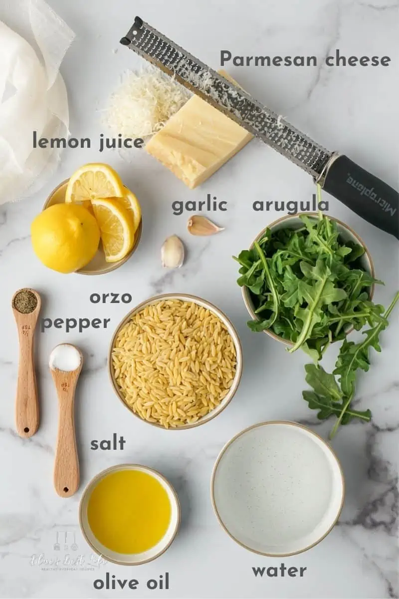 The ingredients to make Instant Pot orzo. 