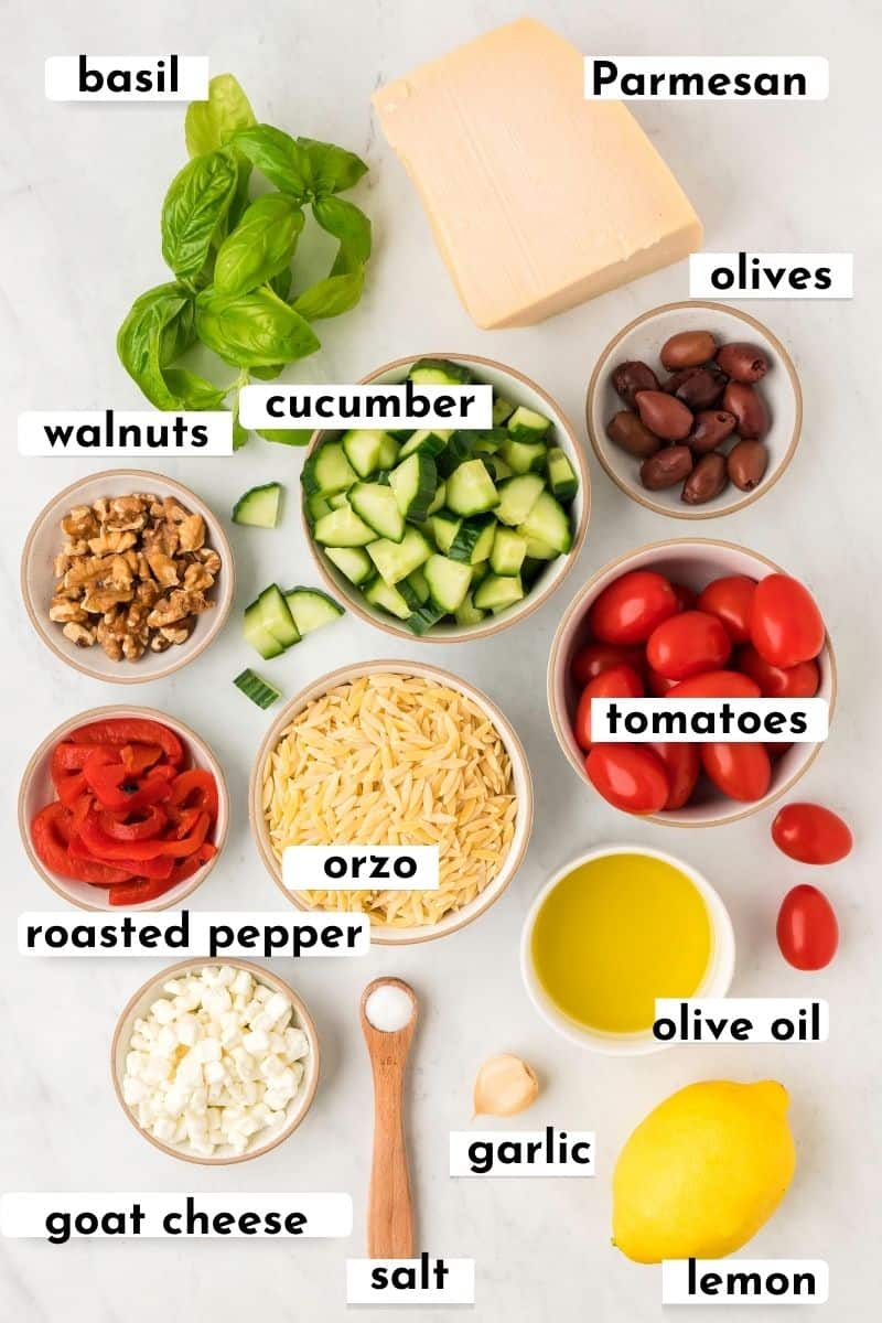 The ingredients in orzo pesto salad: basil, parmesan, olives, cucumber, walnuts, tomatoes, roasted pepper, orzo, goat cheese, salt, garlic, olive oil, lemon.