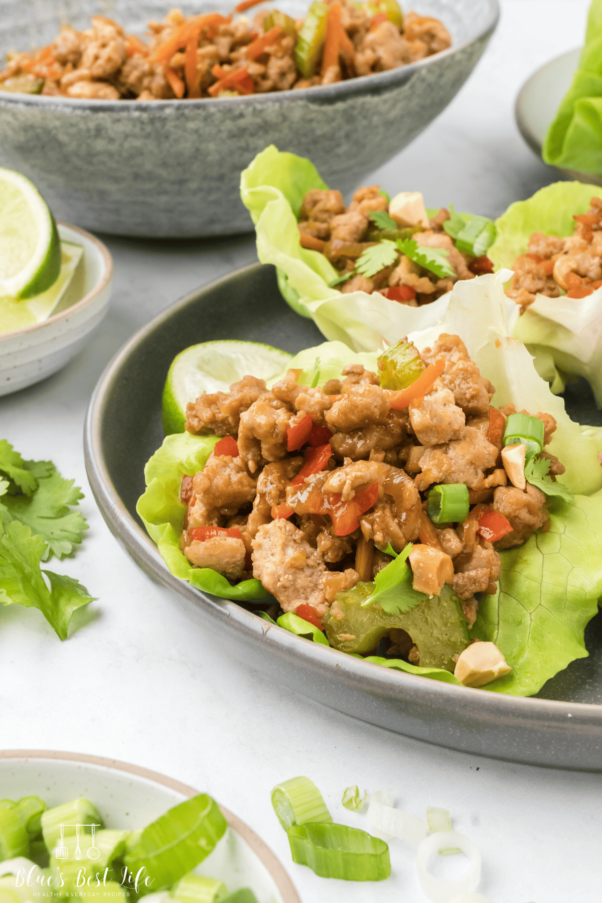 A close up shot of Ground chicken lettuce wraps. 