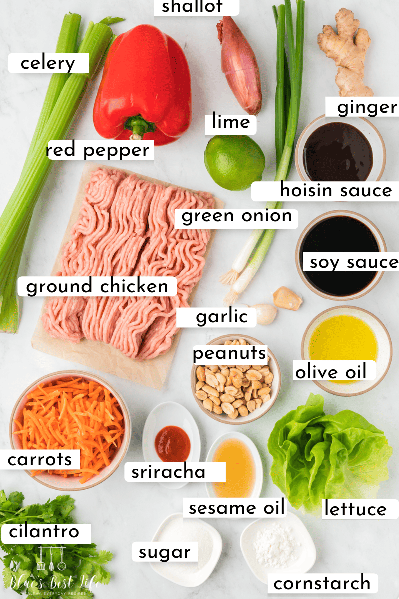 Ingredients: Shallot. celery, red pepper, lime, ginger, hoisin sauce, ground chicken, green onion, soy sauce, garlic,. peanuts, olive oil, carrots, sriracha, sesame oil, lettuce, sugar, cilantro, sugar, cornstarch. 