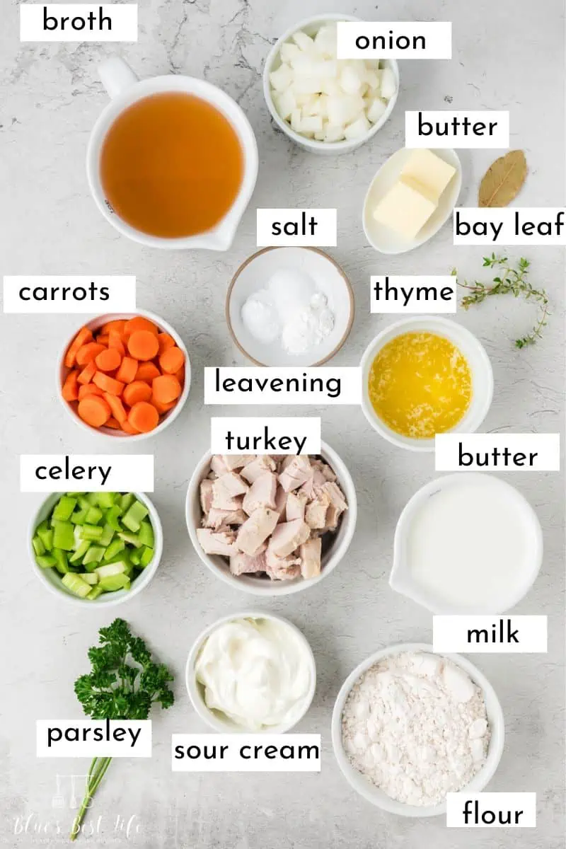 Ingredients to make turkey and dumplings. 