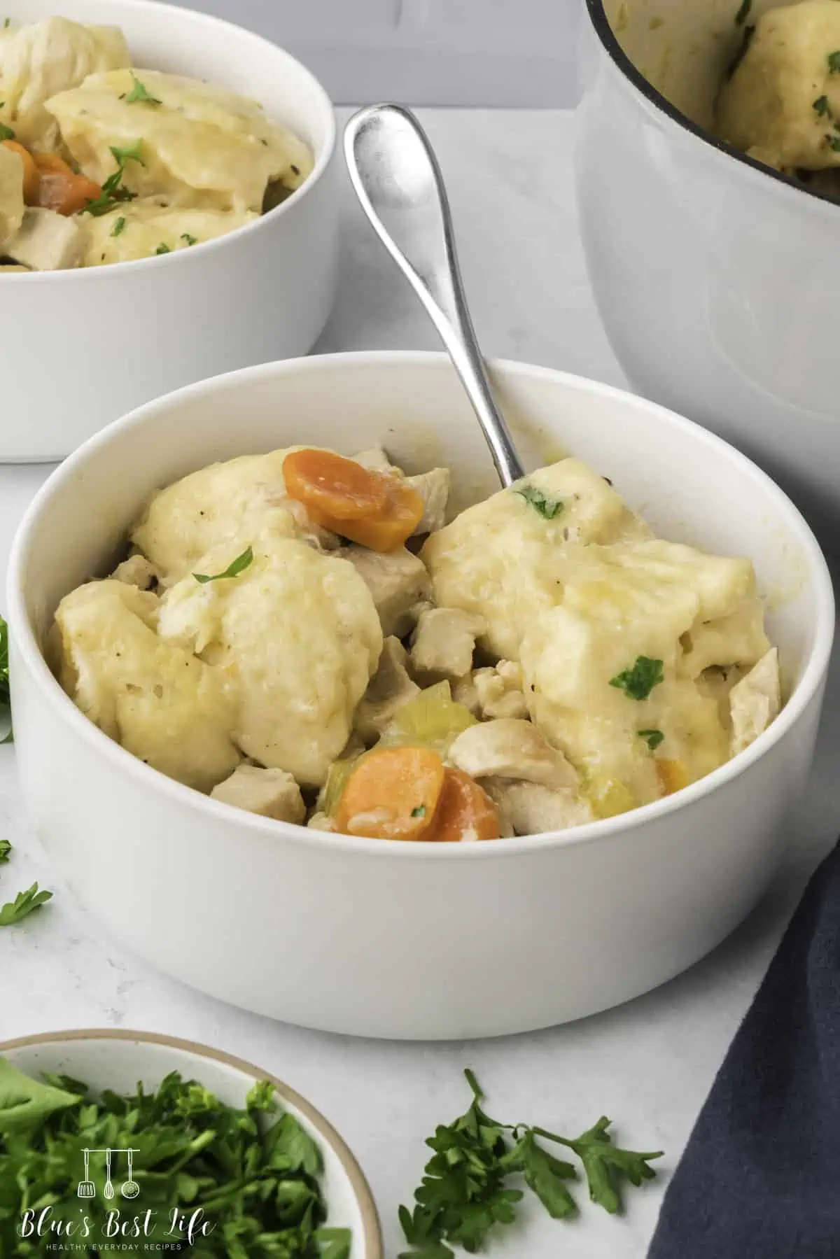The bowl of chicken and dumplings. 