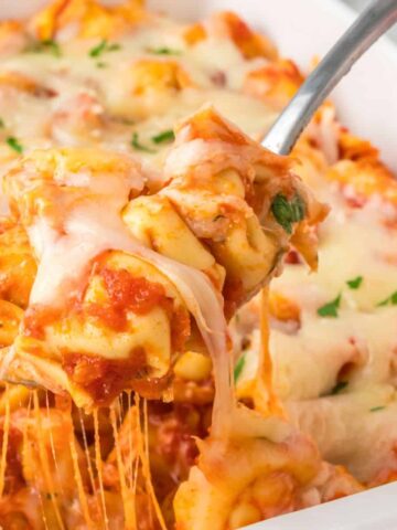A spoonful of cheesy tortellini baked pasta