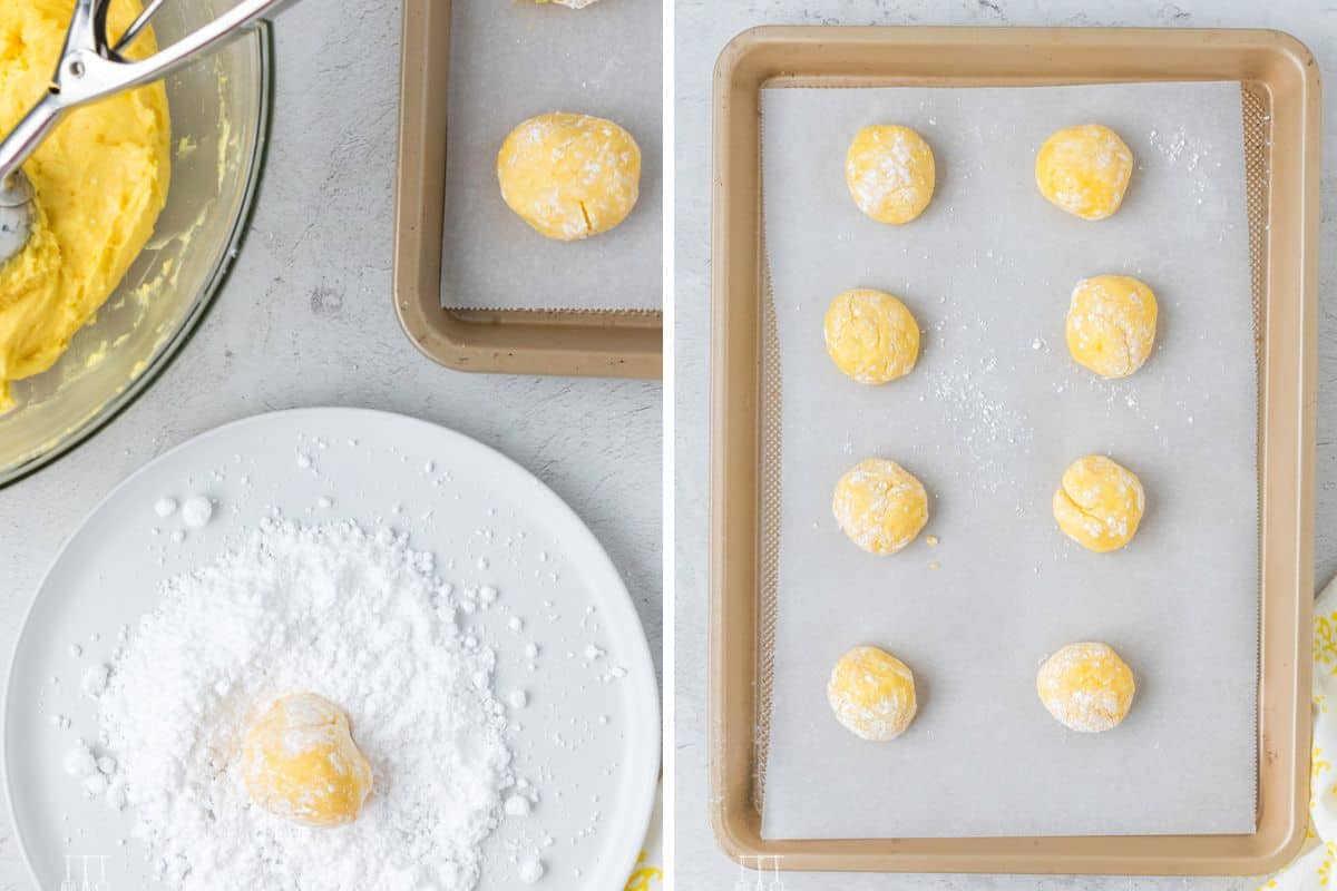 Adding the cookie dough to the powdered sugar and placing them on the cookie sheet.
