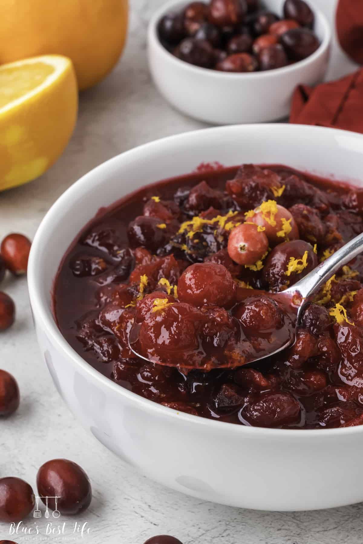 A spoonful of cranberry orange sauce. 