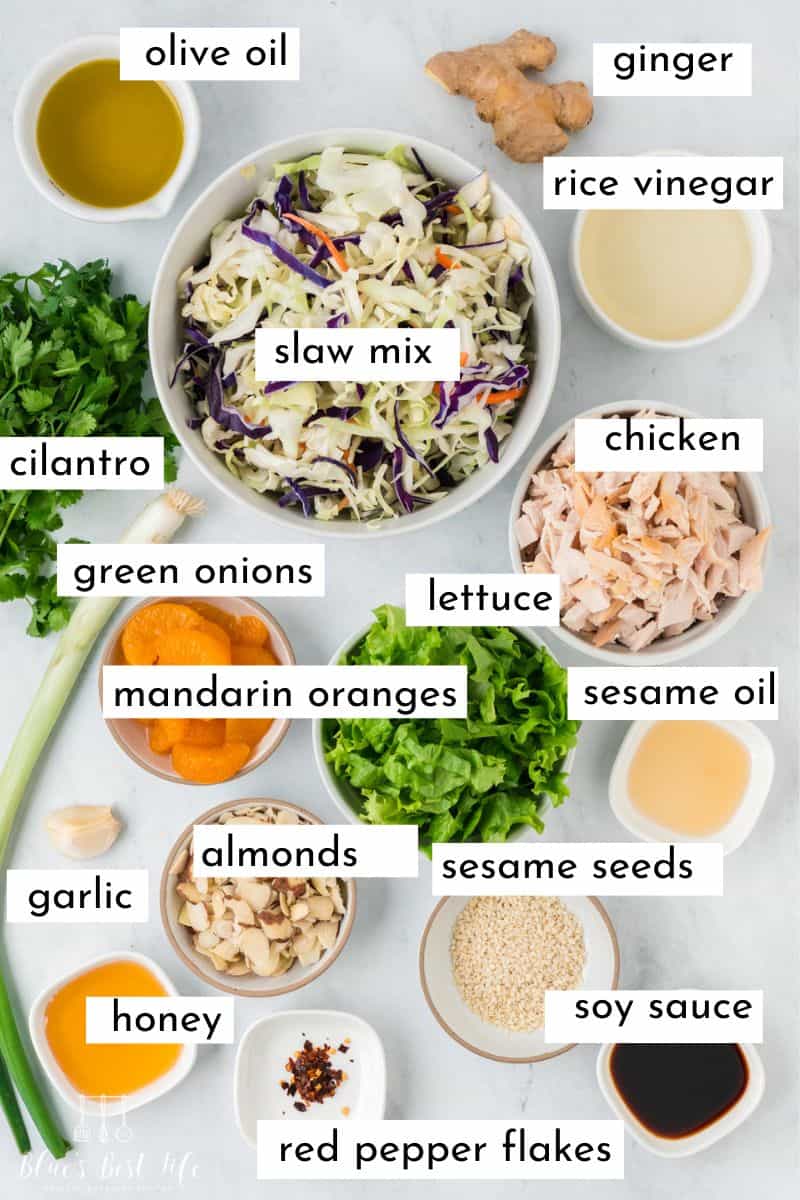 The ingredients to make Asian chicken salad: Olive oil, ginger, rice vinegar, slaw mix, cilantro, chicken, green onion, mandarin oranges, lettuce, sesame oil, garlic, almonds, honey, sesame seeds, red pepper flakes, soy sauce. 