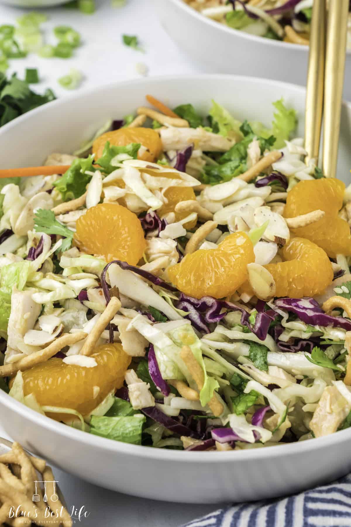 The close up of the Asian chicken salad served in a bowl. 