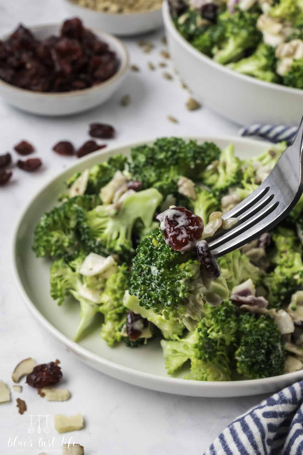 A bite of salad, with a blurry background of a plateful of salad, a small dish of cranberries and a serving bowl of salad. 