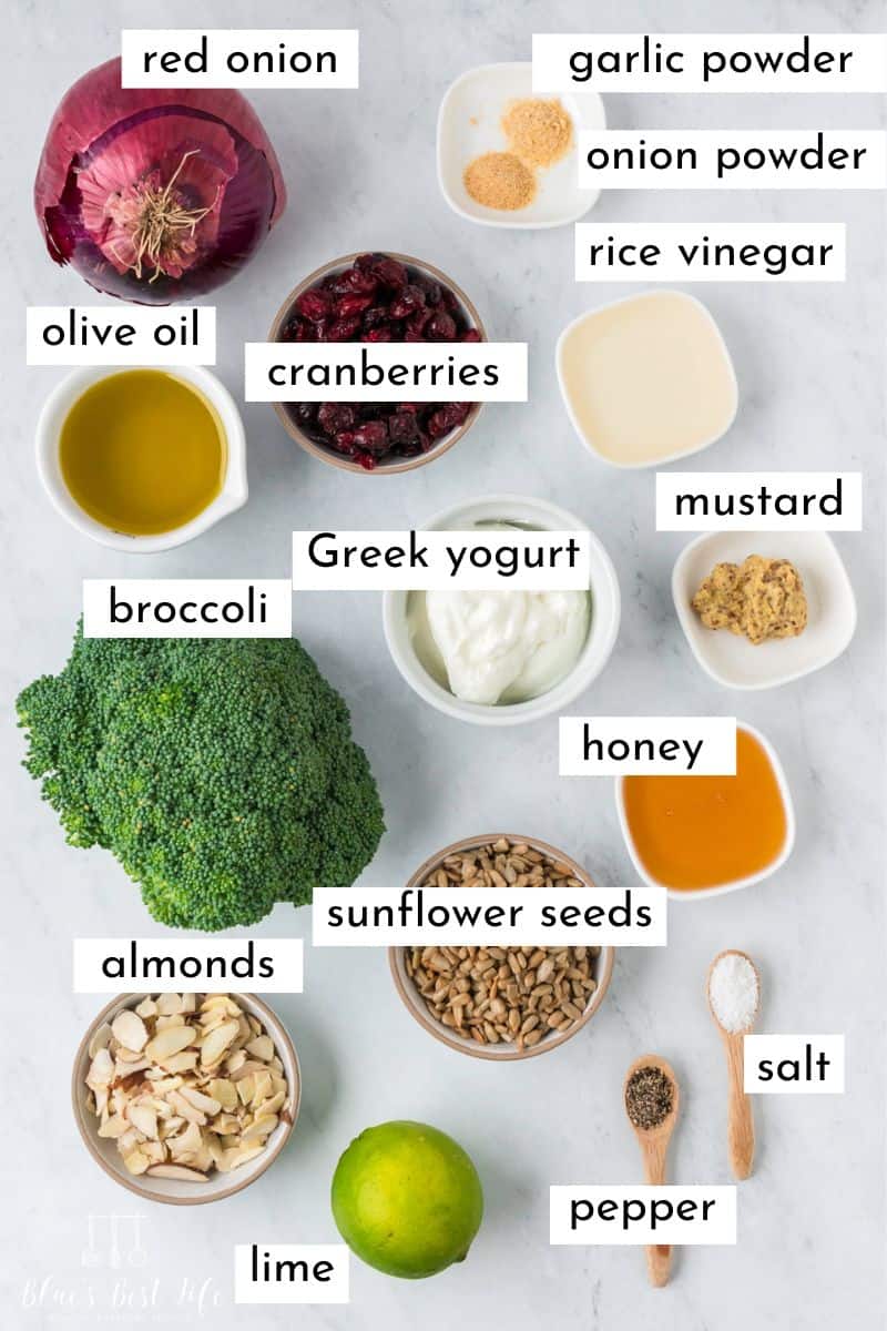 The ingredients to make broccoli salad: red onion, olive oil, garlic powder, onion powder, rice vinegar, cranberries, mustard, broccoli, Greek yogurt, mustard, honey, almond, sunflower seeds, lime salt & pepper. 