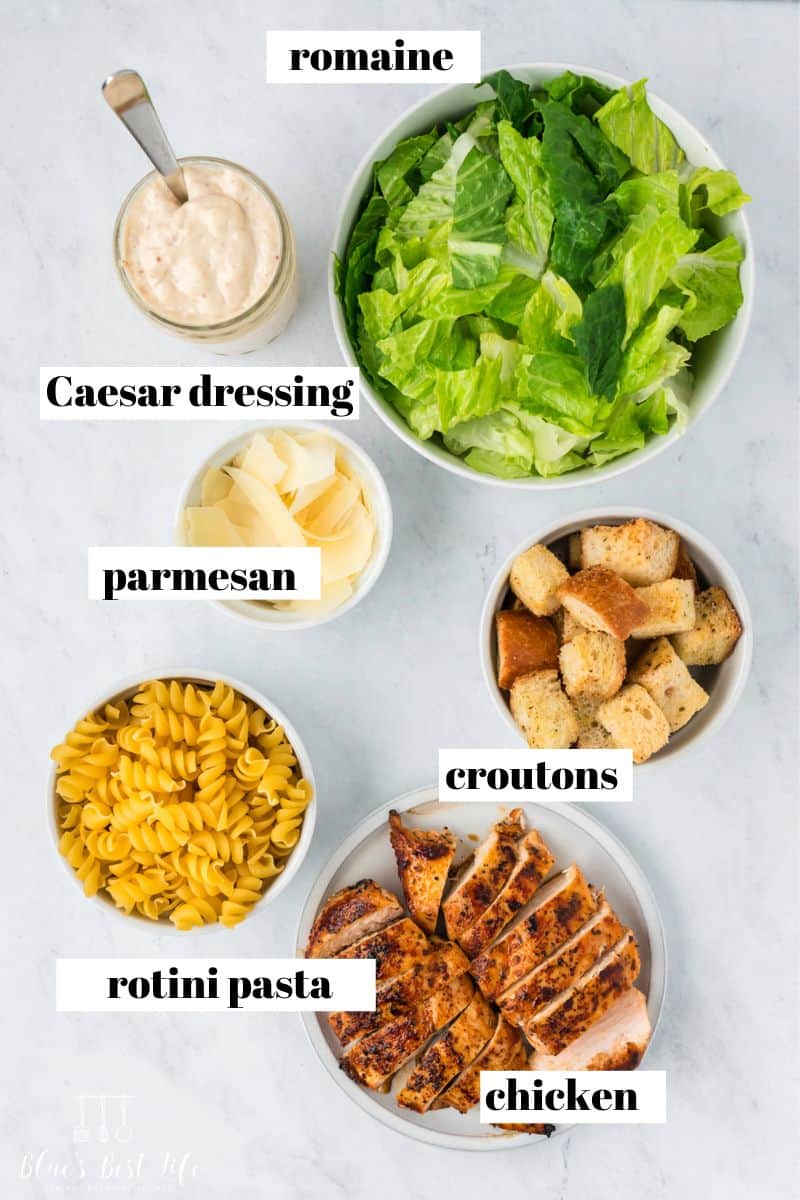 Ingredients for Chicken Caesar Pasta Salad: Romaine Lettuce, Caesar Dressing, Parmesan, Croutons, Rotini Pasta, Cooked Chicken.