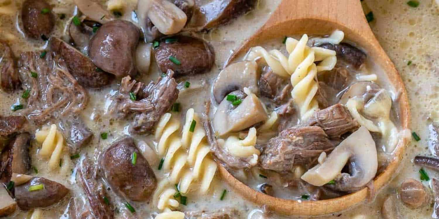 Close-up shot of Beef Stroganoff Soup. 