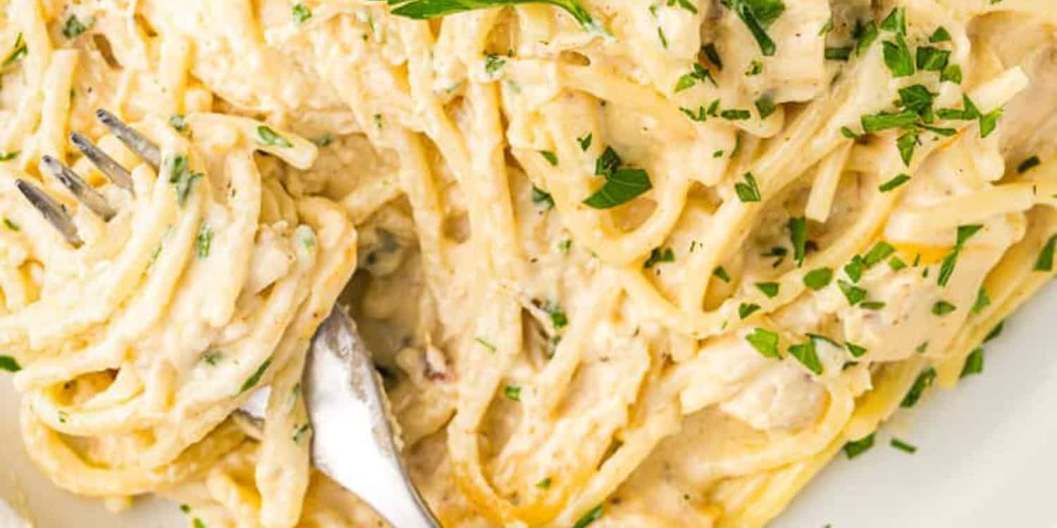 Close-up shot of Chicken Tetrazzini Pasta with a fork. 