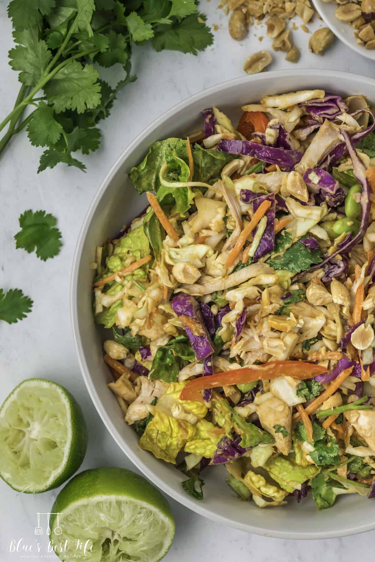 Thai Chicken Salad With Peanut Dressing - Blues Best Life