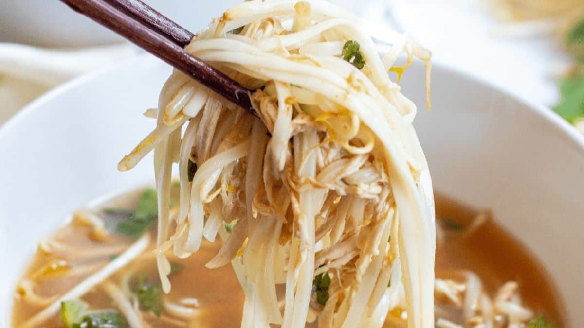 Crock Pot Chicken Pho