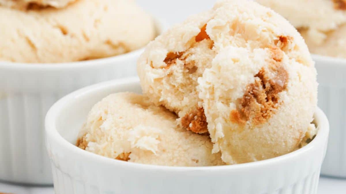 Homemade Cookie Butter Ice Cream