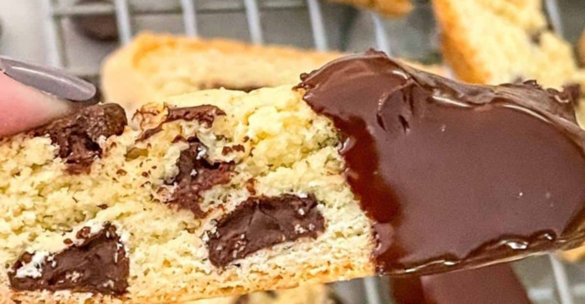 Chocolate Chip Biscotti