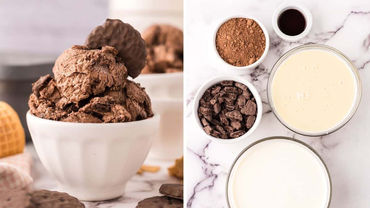 a bowl of chocolate mint ice cream 