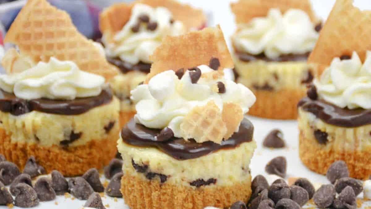 Mini S'mores Cheesecake