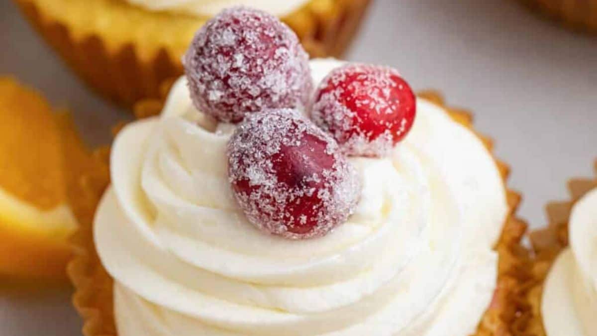 Orange cranberry cupcake with sugared-cranberry on top of cream cheese frosting.