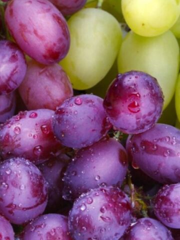 Grapes