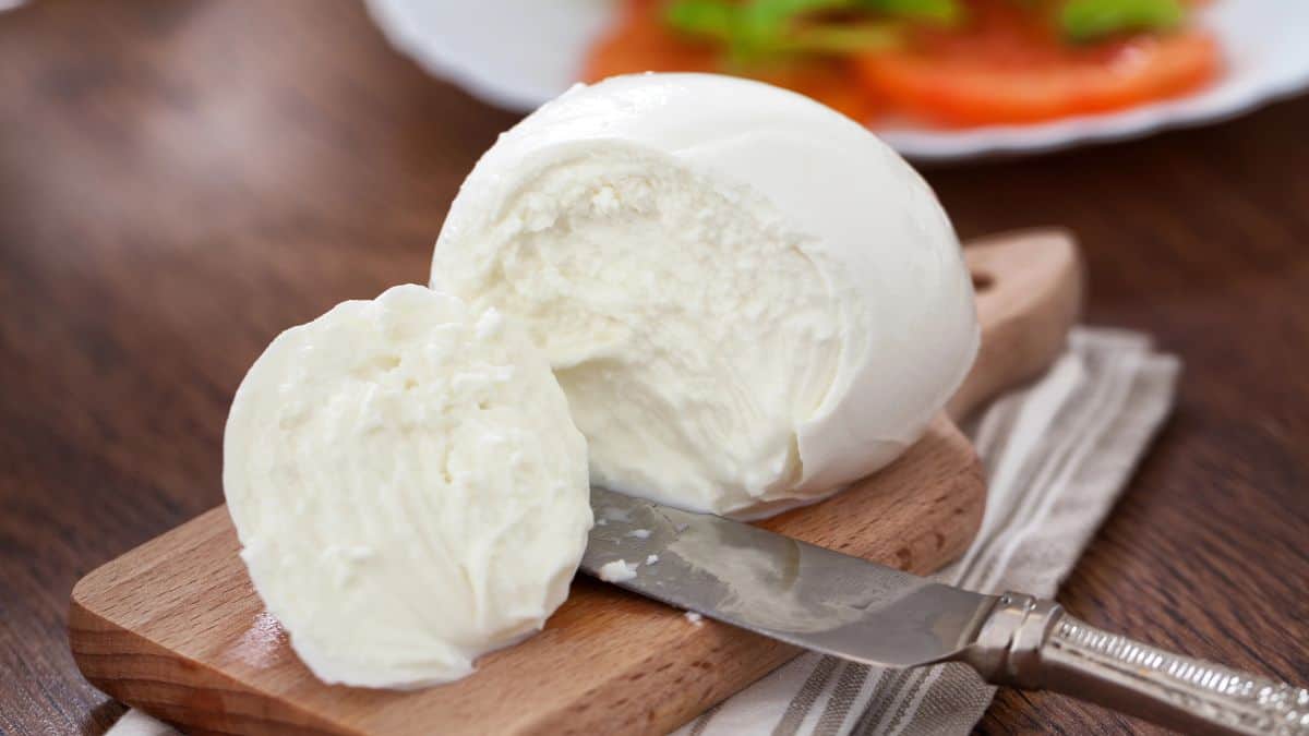 Buffalo mozzarella cheese