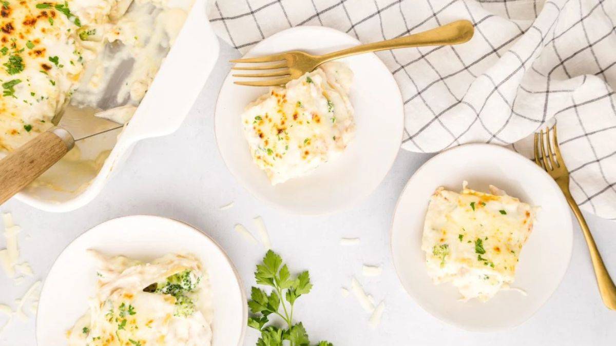 Beautifully served chicken Alfredo lasagna