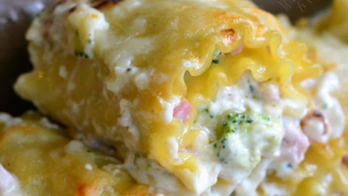 Ham and broccoli lasagna roll ups fresh from the oven.