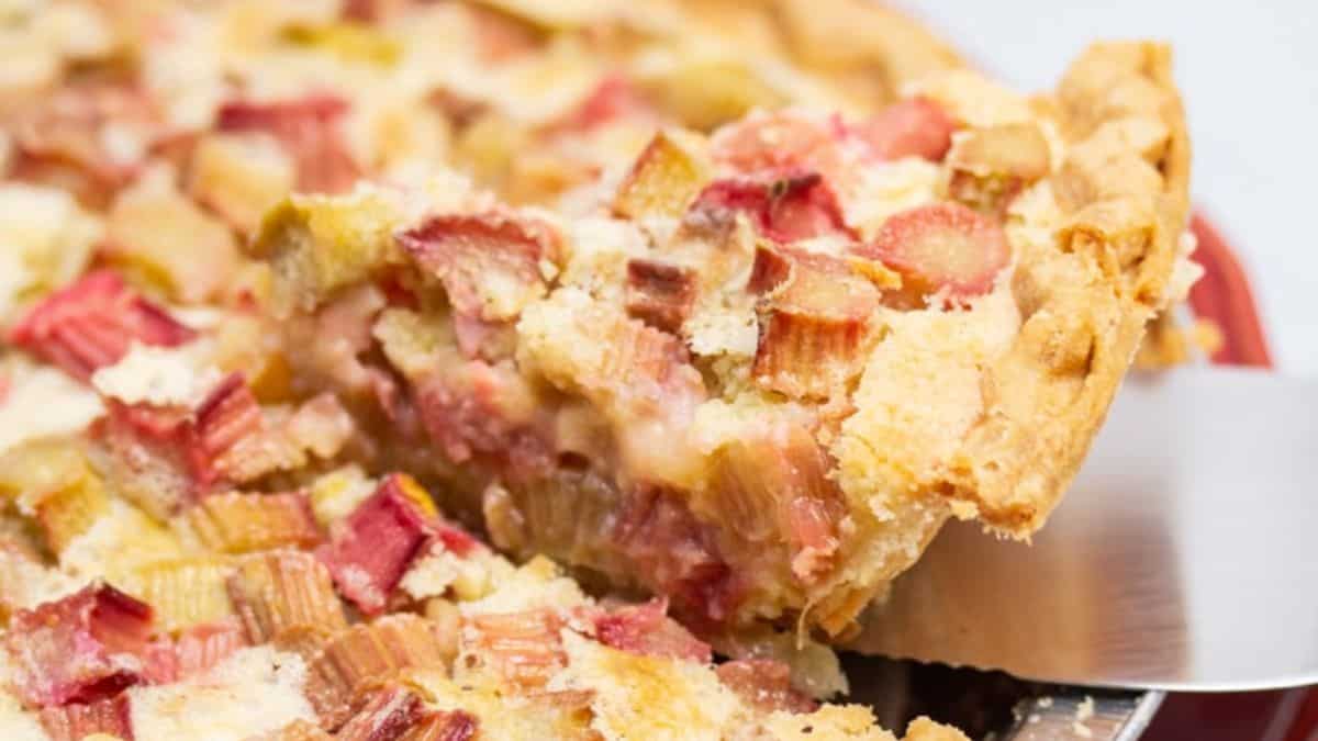 A slice of rhubarb custard pie.