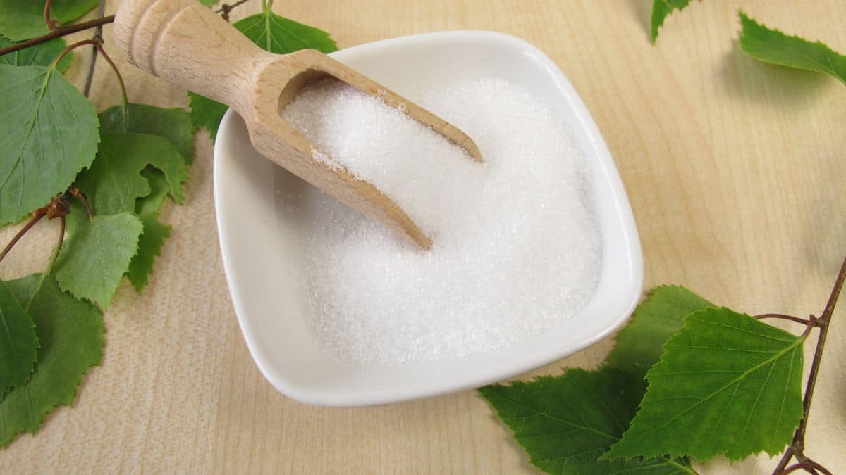 Xylitol