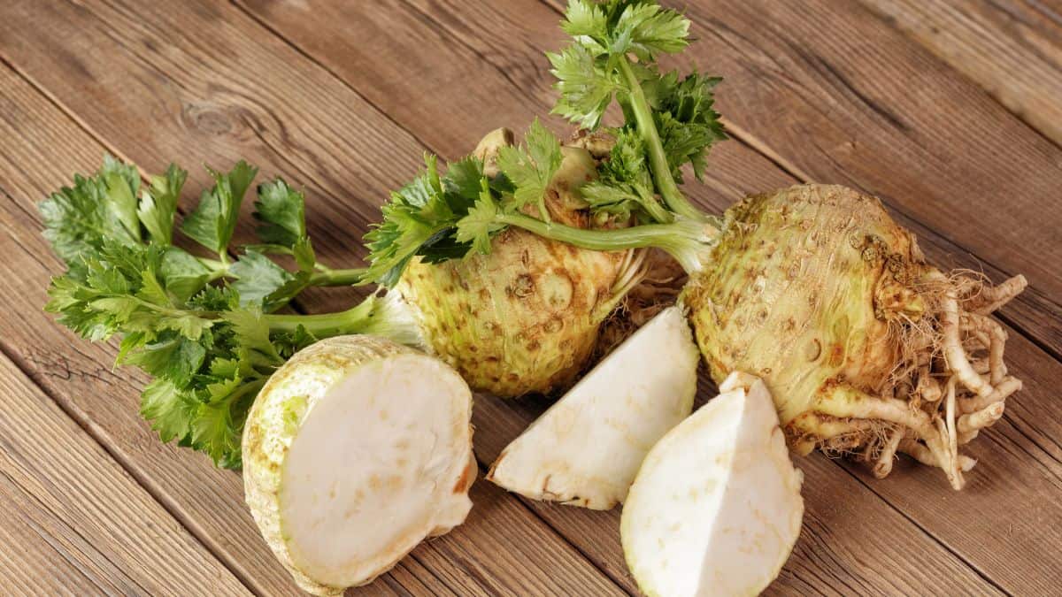 celeriac