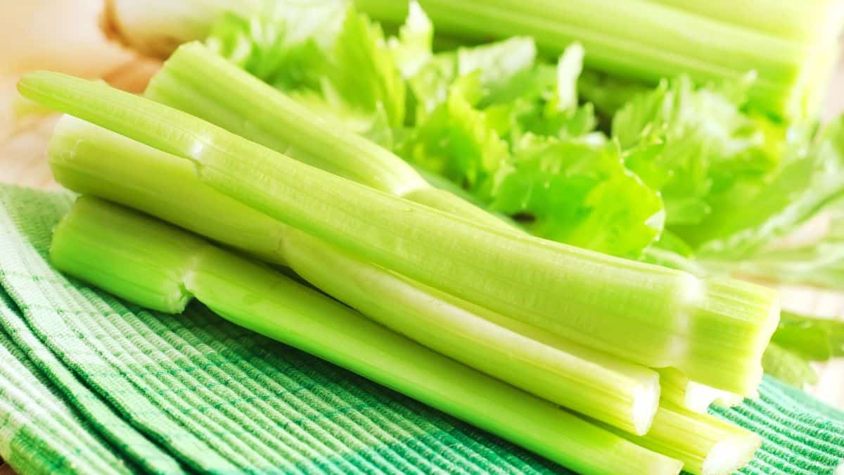 celery