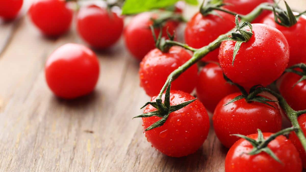 cherry tomatoes