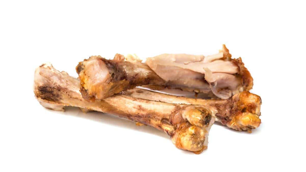 chicken bones