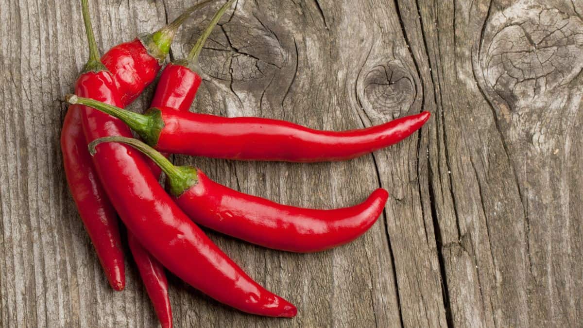 chilie peppers