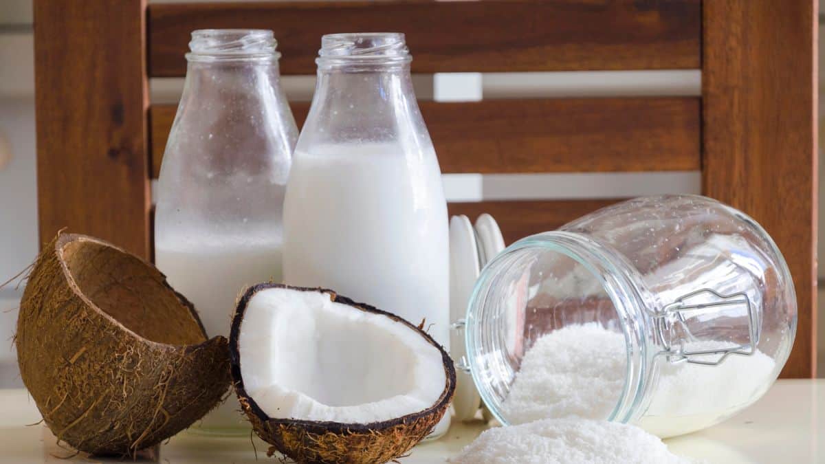 coconut milk and sugar
