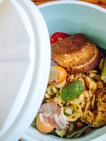 compost bin with food scraps in it