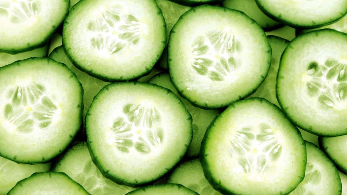 cucumber