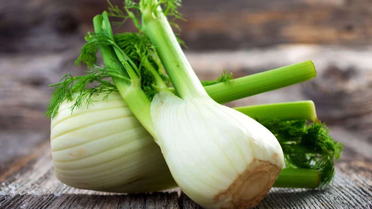 fennel