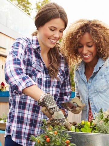 friends gardening