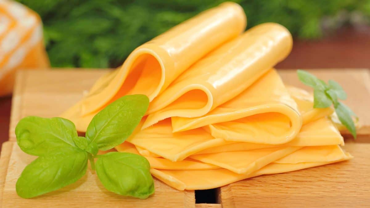 sliced american cheese