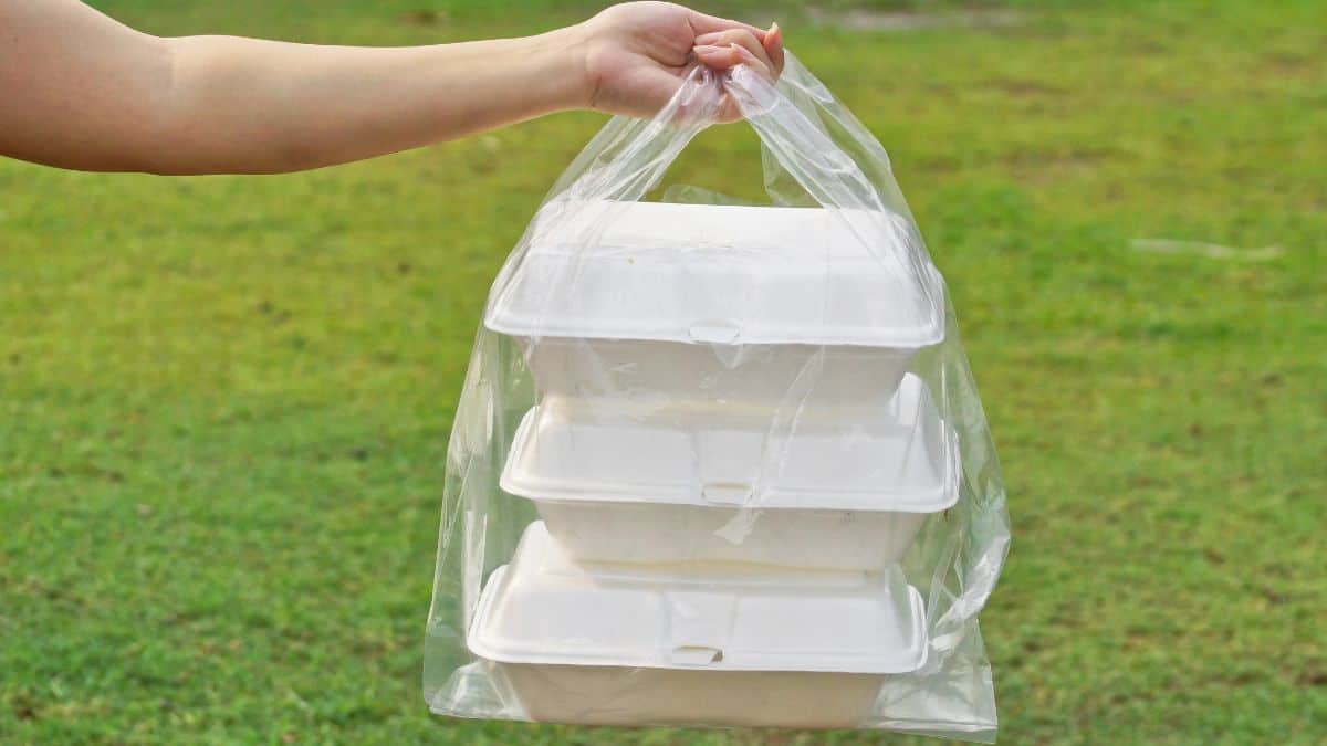 take out food in bag