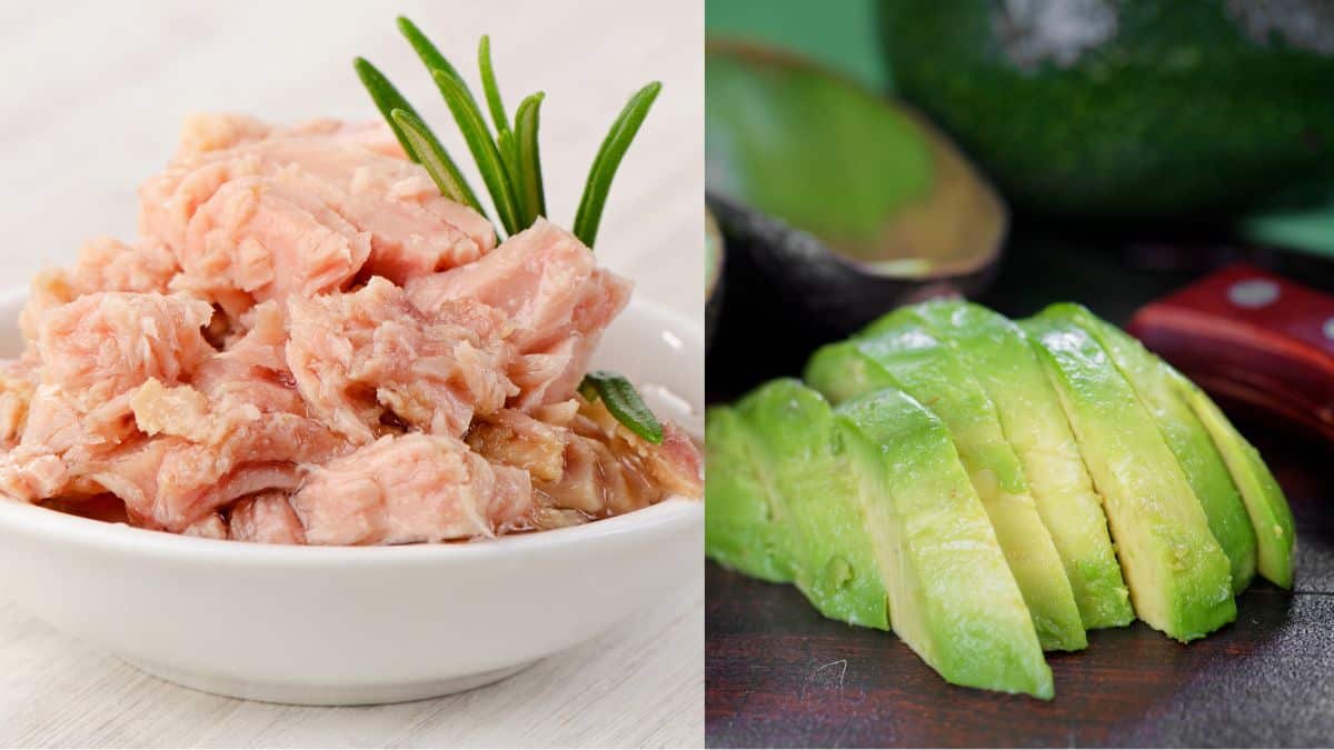 tuna avocado